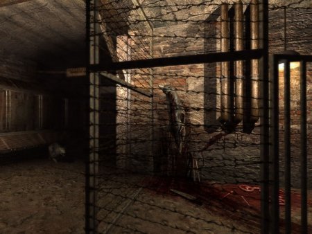 Penumbra Collection
